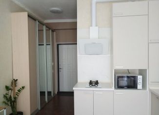 Сдача в аренду квартиры студии, 24 м2, Сочи, Верхнеизвестинская улица, 8, микрорайон Энергетик-Изумруд