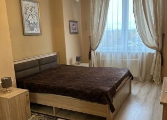 Сдам 1-комнатную квартиру, 35 м2, деревня Анкудиновка, Русская улица, 11