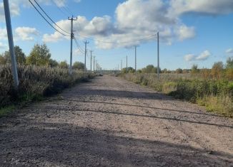 Продается участок, 12 сот., садоводческое некоммерческое товарищество Новое Заостровье, Восточная аллея