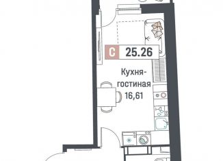 Продается квартира студия, 25.3 м2, Мурино