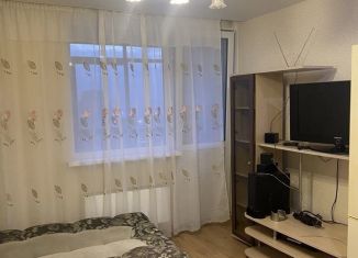 Сдам в аренду квартиру студию, 25 м2, Екатеринбург, Рощинская улица, 21к1, ЖК Тихий Берег-3