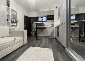 Сдача в аренду квартиры студии, 25 м2, посёлок Шушары, Старорусский проспект, 13к1