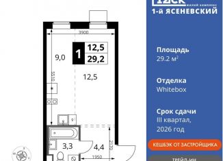 Квартира на продажу студия, 29.2 м2, деревня Румянцево, СНТ Гипрохим, 1Ас1