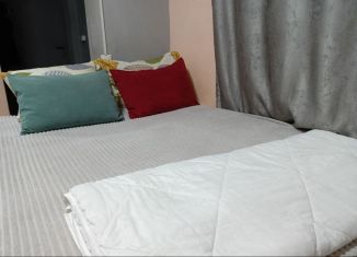 Сдам в аренду 1-комнатную квартиру, 35 м2, Воронеж, улица Карла Либкнехта, 19