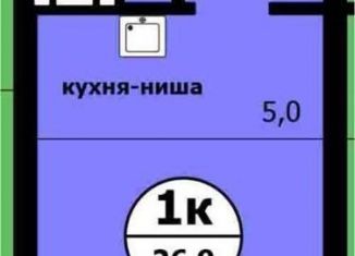 Продам квартиру студию, 26.9 м2, Красноярский край, Вишнёвая улица