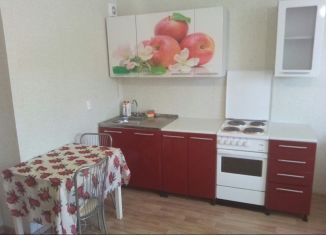 Сдается квартира студия, 29 м2, Копейск, улица Томилова, 15Б