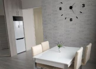 Сдаю 1-комнатную квартиру, 54 м2, Сочи, Клубничная улица, 32, микрорайон Новый Сочи