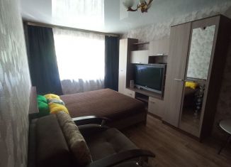 Сдам в аренду 1-ком. квартиру, 30.3 м2, Кунгур, улица Ситникова, 80