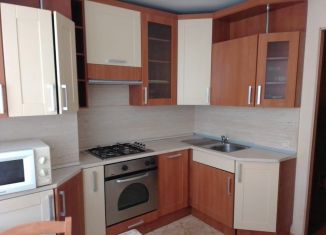 Аренда 2-ком. квартиры, 55 м2, Санкт-Петербург, улица Турку, 20к1