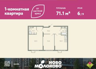 Продажа двухкомнатной квартиры, 71.1 м2, Московская область, жилой комплекс Ново-Молоково, 13