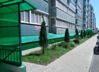 Продажа квартиры студии, 34 м2, Краснодарский край, улица Краеведа Соловьёва, 6к2