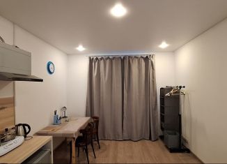 Сдаю квартиру студию, 20 м2, Люберцы, Весенняя улица, 14