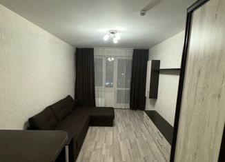 Квартира в аренду студия, 28 м2, Красноярск, улица Карамзина, 6