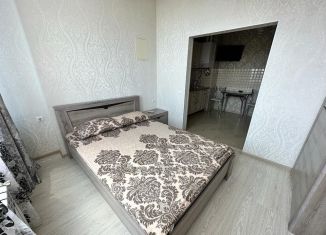 Сдаю в аренду квартиру студию, 30 м2, Сочи, Альпийская улица, 23, микрорайон Завокзальный