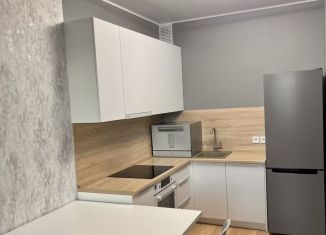 Аренда 1-комнатной квартиры, 43 м2, Екатеринбург, улица Гагарина, 9