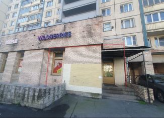 Аренда торговой площади, 22 м2, Санкт-Петербург, проспект Косыгина, 27к1