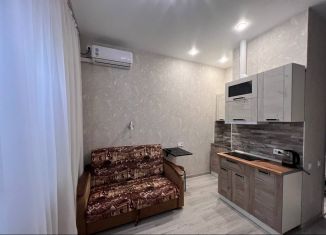 Сдам в аренду квартиру студию, 14 м2, Татарстан, улица Лядова, 2