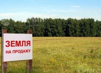 Продам земельный участок, 28.6 сот., село Чурачики, улица Ленина