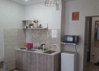 Сдаю в аренду квартиру студию, 27 м2, Абакан, улица Кирова, 206А