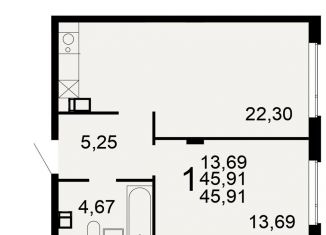 1-комнатная квартира на продажу, 45.9 м2, Тульская область