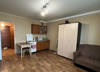 Продам квартиру студию, 25 м2, Новосибирск, улица Виктора Уса, 9