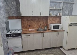 1-ком. квартира в аренду, 33 м2, Пятигорск, улица Рубина, 1