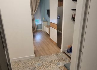 Сдам квартиру студию, 27 м2, Москва, Очаковское шоссе, 5к1