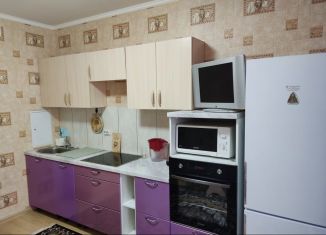 Сдается в аренду 1-комнатная квартира, 40 м2, Тюмень, улица Николая Зелинского, 17, ЖК Семейный 2