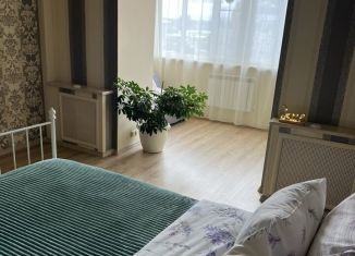 Сдам в аренду 1-ком. квартиру, 48 м2, Казань, улица Четаева, 4