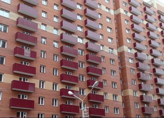 Продажа двухкомнатной квартиры, 52 м2, Красноярск, Советский район, Соколовская улица, 52