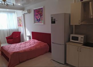 Сдача в аренду однокомнатной квартиры, 40 м2, Сочи, Виноградная улица, 22/1А, микрорайон Новый Сочи