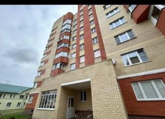 Квартира в аренду студия, 35 м2, Электросталь, улица Расковой, 10