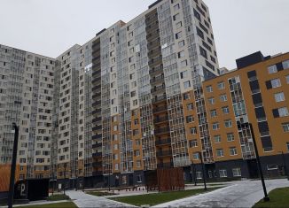 Сдам 1-комнатную квартиру, 31.2 м2, Мурино, Ручьёвский проспект, 15, ЖК Айди Мурино