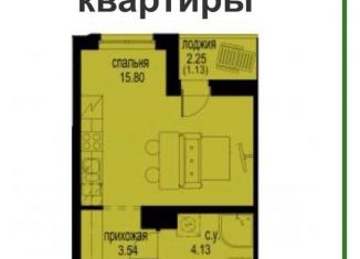 Продам квартиру студию, 24.6 м2, Кудрово, ЖК Айди Кудрово 3, проспект Строителей, 5к1