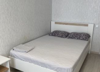 Сдается 1-ком. квартира, 45 м2, Пермь, улица Татьяны Барамзиной, 32