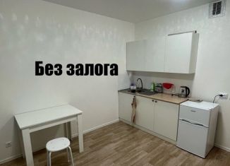 Аренда квартиры студии, 20 м2, Санкт-Петербург, Муринская дорога, 27к2, муниципальный округ Полюстрово