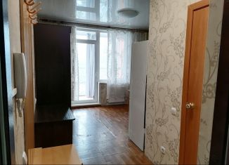 Сдача в аренду квартиры студии, 24 м2, Красноярск, улица Борисова, 42