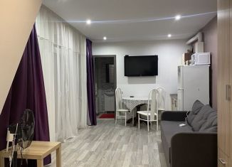 Дом в аренду, 100 м2, Санкт-Петербург, улица Чернышевского, 2/15