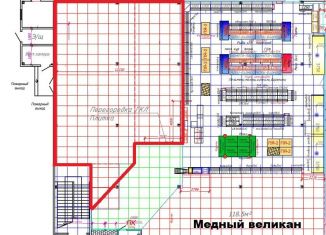 Сдается в аренду торговая площадь, 200 м2, Томская область, улица Победы, 66