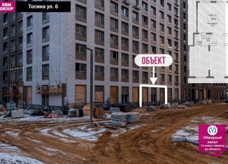 Помещение свободного назначения на продажу, 100 м2, Санкт-Петербург, Тосина улица, 1к2