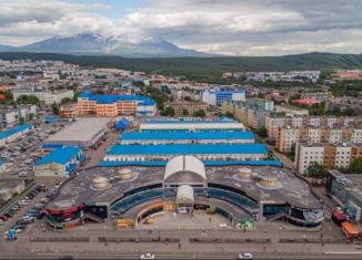 Сдам в аренду торговую площадь, 38.9 м2, Петропавловск-Камчатский, проспект 50 лет Октября, 16к1