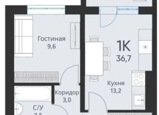 1-комнатная квартира на продажу, 36.7 м2, Новосибирская область, Большая улица, 23