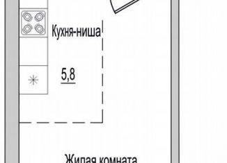 2-ком. квартира на продажу, 31 м2, Псковская область, улица Героя России Досягаева, 6