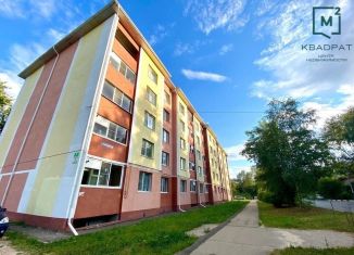 Продается однокомнатная квартира, 42 м2, Арзамас, Нижегородская улица, 26