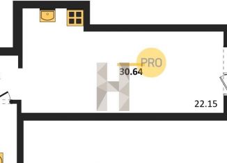 Продаю квартиру студию, 30.6 м2, Воронеж, Коминтерновский район, Покровская улица, 19