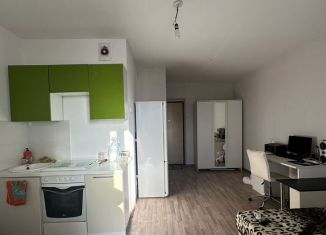 Продам квартиру студию, 24 м2, Челябинск, улица Дмитрия Неаполитанова