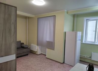 Сдаю квартиру студию, 28 м2, Алтайский край, улица Декабристов, 20