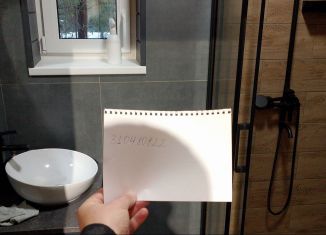 Сдаю в аренду дом, 40 м2, деревня Сяндеба, деревня Сяндеба, 31Д