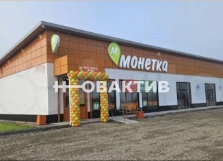 Помещение свободного назначения на продажу, 386 м2, Алтайский край, Первомайская улица, 80