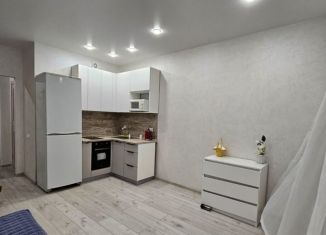 Сдается 2-ком. квартира, 40 м2, Новосибирск, улица Толстого, 9, метро Октябрьская